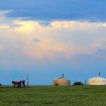 Gobi desert Mongolia for 8 days - Why Travelers Love This Tour