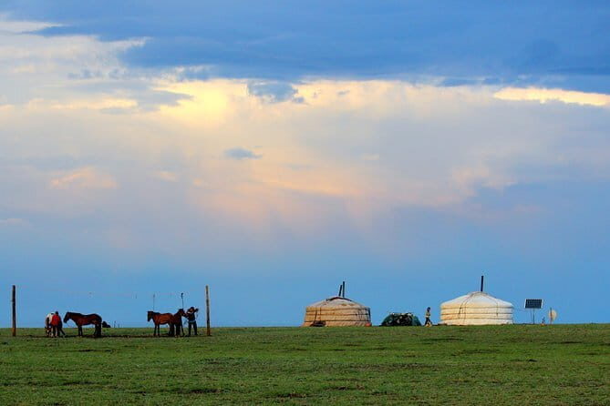 Gobi desert Mongolia for 8 days - Why Travelers Love This Tour