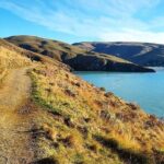 Godley Head Scenic Drive & Guided Walk (Shore Excursion) - Who Should Consider This Tour?