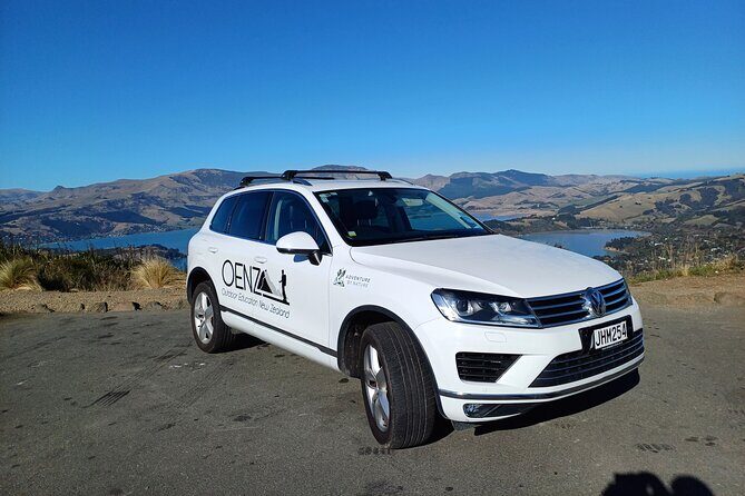 Godley Head Scenic Drive & Walking Tour (Private Shore Excursion) - Exploring the Itinerary in Detail