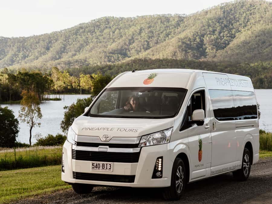 Gold Coast: Daytime Glow Worm Caves and Hop-on Hop-off Tour - An In-Depth Look at the Tour Experience