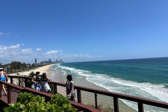 Gold Coast Fun Tour - Why This Service Might Be Perfect for You
