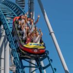 Gold Coast: Movie World, Sea World & Wet'n'Wild 7-Day Pass - What You Can Expect at Each Park