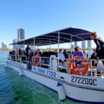 Gold Coast: Snorkelling in Wave Break Island - What to Expect: A Thorough Breakdown