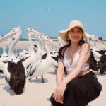 Gold Coast Surfer's Paradise Private Tour from Brisbane - Authentic Experiences Backed by Feedback