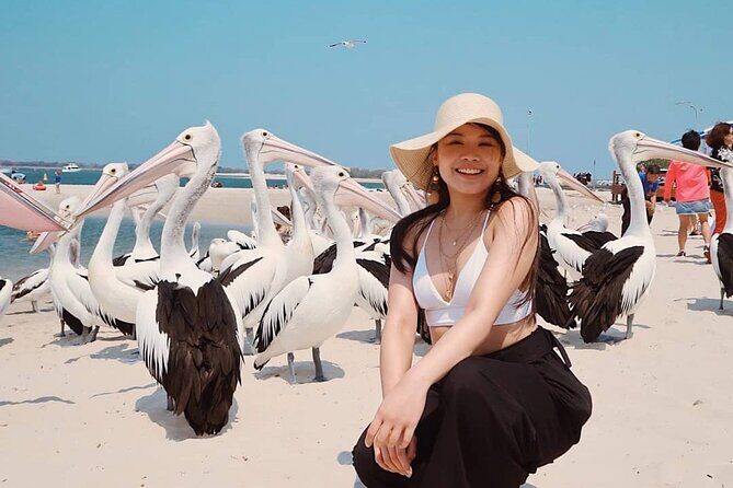 Gold Coast Surfer's Paradise Private Tour from Brisbane - Authentic Experiences Backed by Feedback