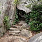 Golden Route to West Japan: 7-Day Cultural & Nature Tour - What Makes This Tour Stand Out?