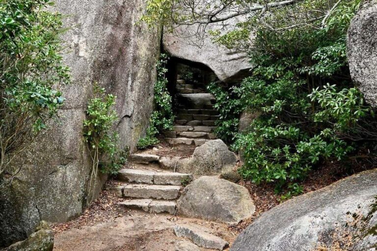 Golden Route to West Japan: 7-Day Cultural & Nature Tour - What Makes This Tour Stand Out?