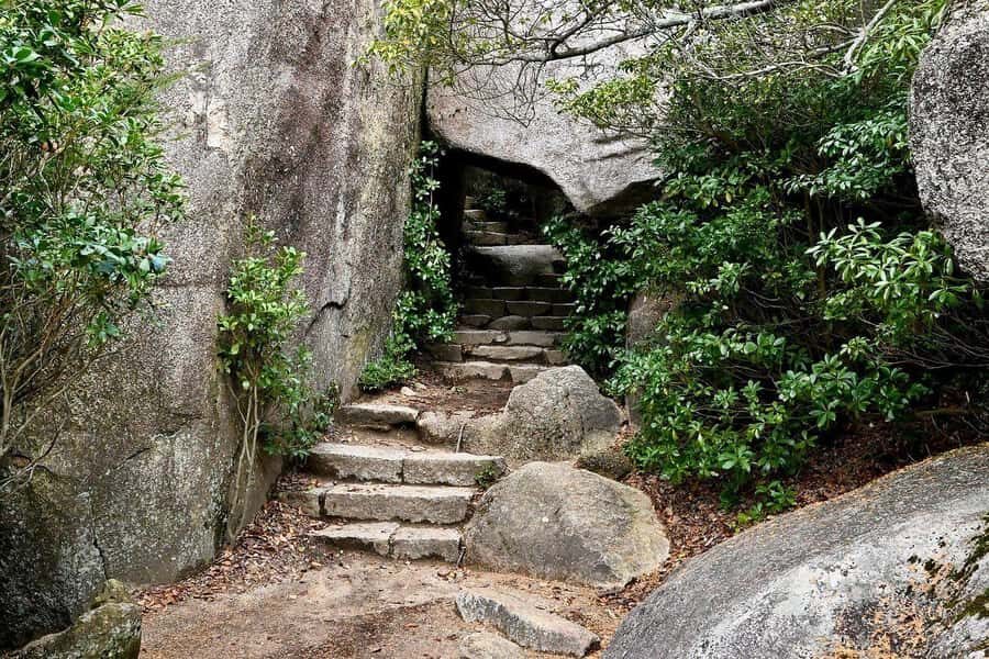 Golden Route to West Japan: 7-Day Cultural & Nature Tour - What Makes This Tour Stand Out?