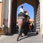 Golden Triangle 7 Day Agra Jaipur Delhi Tour - Transportation & Logistics