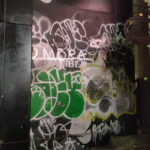 Graffiti in Tokyo Walking Tour: Shibuya and Harajuku - The Impact of the Guides