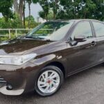 Grand Palladium Jamaica Airport Private Transport - Deep Dive into the Logistics