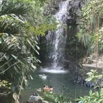 Grand Tours Grenada Call the Boss Taxi Luxurious Island Tour - Final Thoughts on the Call the Boss Taxi Luxury Island Tour