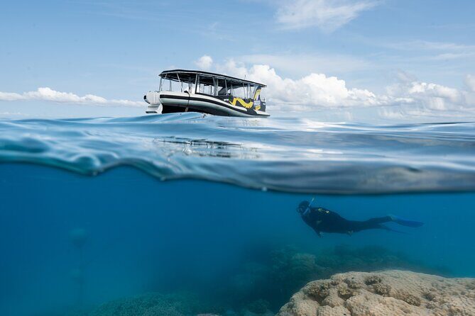 Great Barrier Reef Small Group Snorkelling Adventure - What to Expect on the Day