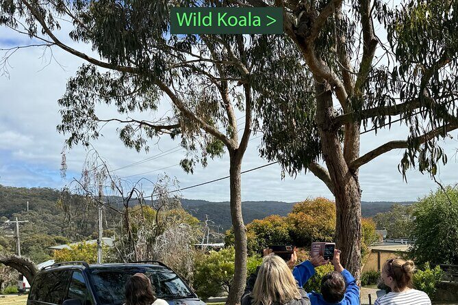 Great Ocean Road 1 Day Luxury Private Tour - The Value of a Private, Customizable Tour