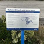 Great Ocean Road reverse Sunrise Tour - An In-Depth Look at the Itinerary