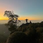 Green Magic One Night Two Days Trip to Munnar - What Makes This Tour a Great Choice?