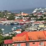 Grenada: Half-Day Island Tour with Waterfall Swim Stop - What Makes This Tour Stand Out