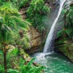 Grenada Must-See Places Express Tour - Practical Details and Value