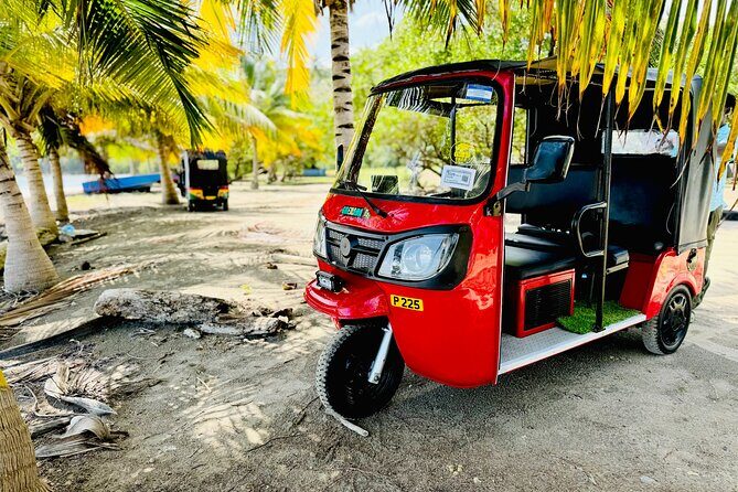 Grenada Tuk Tuk Adventure - The Price and Overall Value