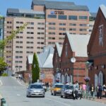 (GROUP PRICE)Private Hokkaido Guided Day Tour with Transportation - Practical Details and Tips