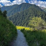 Group Tour: Big Almaty Gorge (Ayusai, Almarasan, Park) - Who Should Book This Tour?