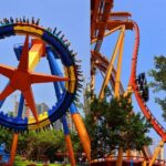 Guangzhou Chimelong: Safari Park/ParadiseOptional Day Tour - Who Will Love This Tour?