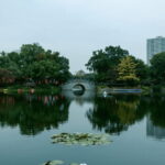 Guangzhou city highlights tour with dimsum lunch - Why This Tour Offers Great Value