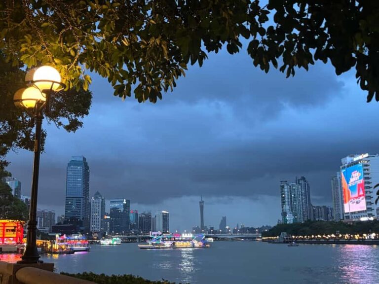 Guangzhou: Jade Market Private Tour and Guzheng Music Class - Practical Details & Tips