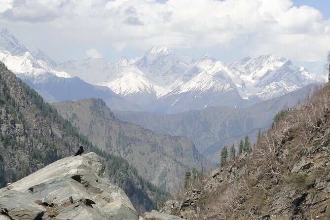 Guided Day Hike to Guna Devi Temple from Mcleodganj - Why Choose This Trek?