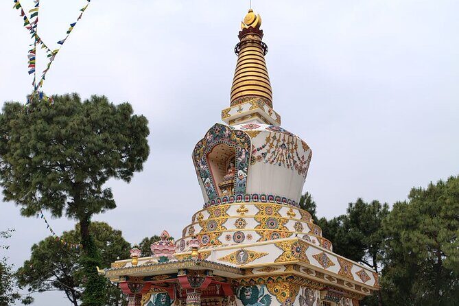 Guided Day Tour to Bir  Monasteries,Temple & Tea Garden Visit - Practical Considerations and Tips