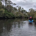 Guided Kayak Adventure Tour - The Experience & Group Dynamics