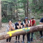 Guided Kora Circuit & Walking Tour Around McLeod Ganj - Authenticity & Depth as Highlighted by Reviewers