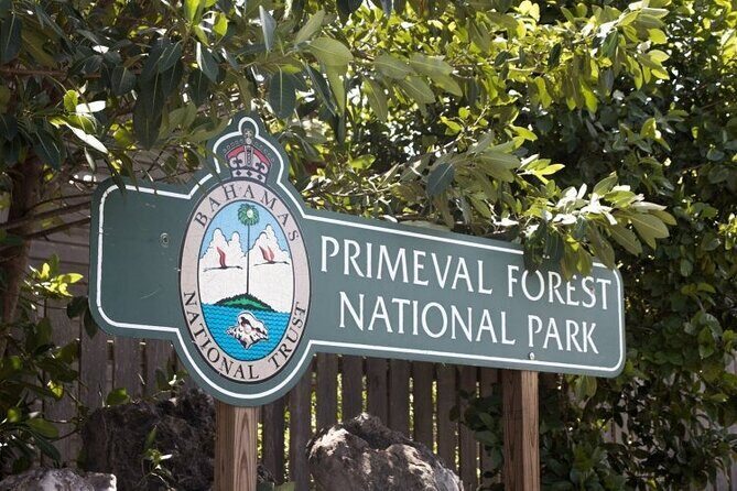 Guided Primeval Nature Walk Tour in Primeval Forest National Park - FAQs