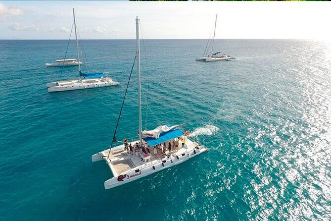 Guided Saona Island Tour in Punta Cana - What Recent Travelers Say