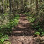 Guided Shioya Maruyama Hike with Scenic Views and Snacks - The Value of This Tour