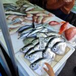 Guided tour to discover Tokyo. - Who Will Love This Tour?