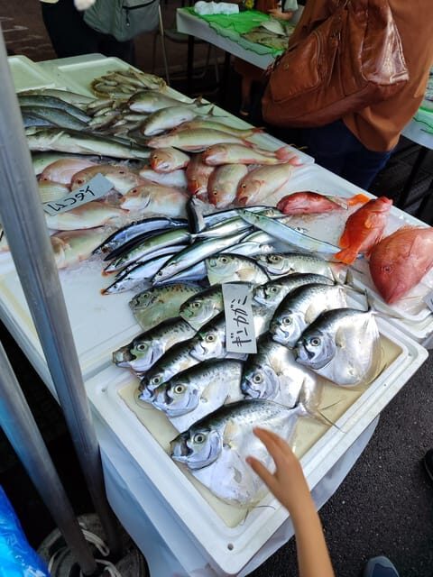 Guided tour to discover Tokyo. - Who Will Love This Tour?