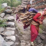 Guided Village walk with Stories in Dharamsala - A Deep Dive into the Experience