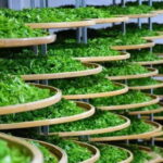 Guilin: City Tour with Elephant Hill & Ming Tea Tasting - Transportation & Pricing: What’s in the Deal?