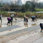 Guilin: Countryside Cycling 1-day Tour with Cooking Class - A Detailed Look at the Tour Experience