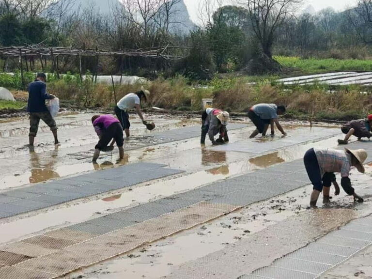 Guilin: Countryside Cycling 1-day Tour with Cooking Class - A Detailed Look at the Tour Experience