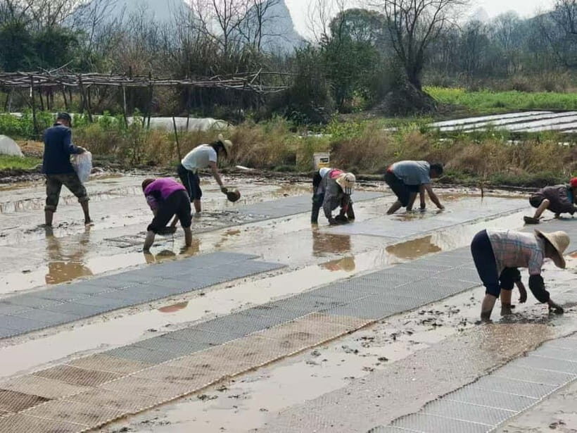 Guilin: Countryside Cycling 1-day Tour with Cooking Class - A Detailed Look at the Tour Experience