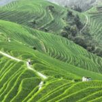 Guilin: In-Depth Longji Rice Terraces Day Trip with Lunch - A Detailed Breakdown of the Itinerary