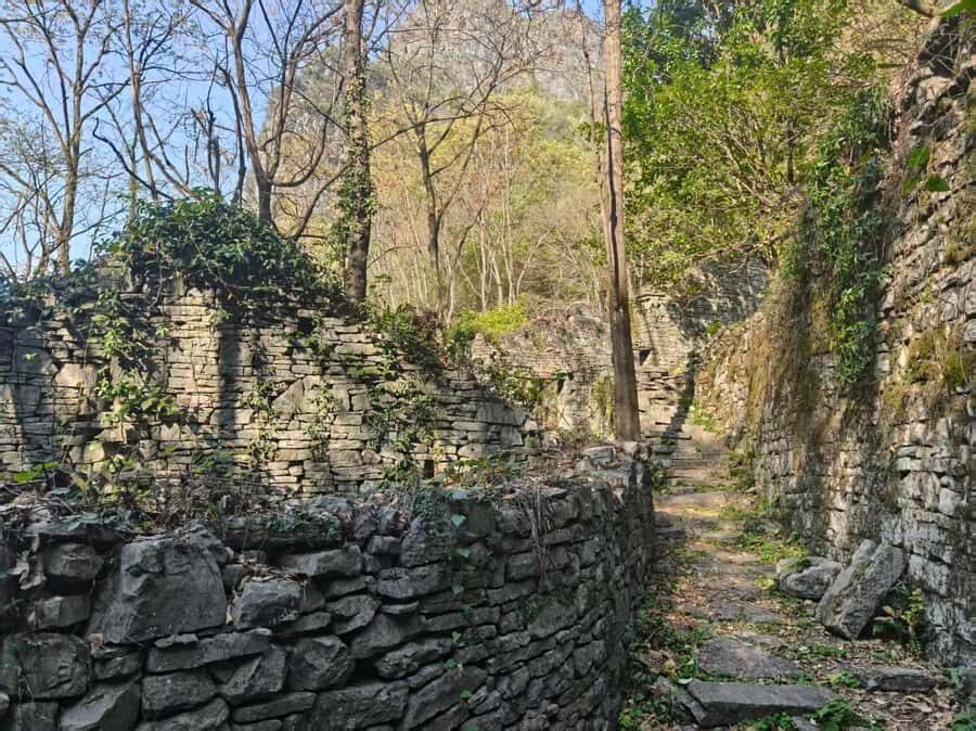 Guilin: Li River Cruise, Yangshuo, and Stone City Tour - The Practical Details: What You Should Know