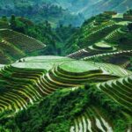 Guilin: Longji Rice Terraces and Huangluo Yao Village Tour - Cultural Encounters in Ethnic Villages