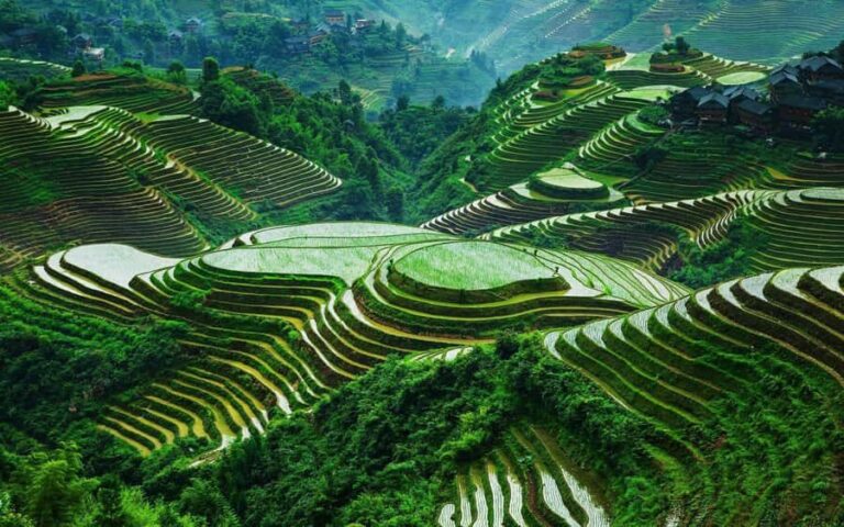 Guilin: Longji Rice Terraces and Huangluo Yao Village Tour - Cultural Encounters in Ethnic Villages