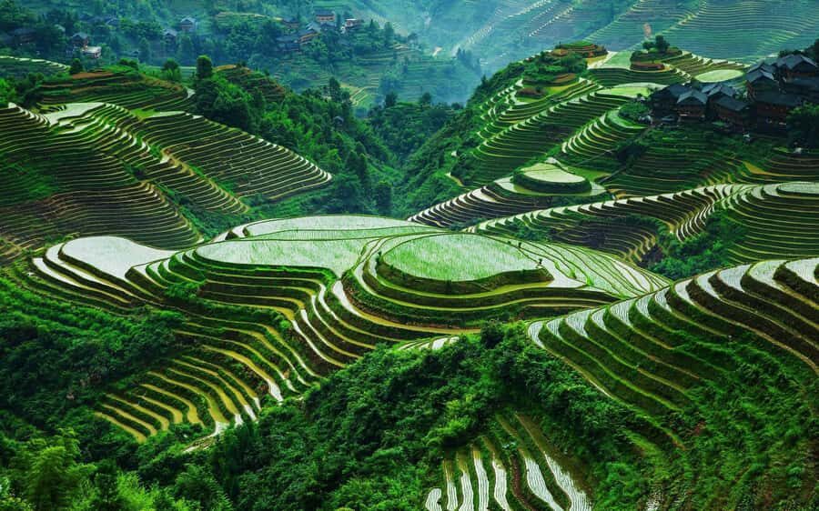 Guilin: Longji Rice Terraces and Huangluo Yao Village Tour - Cultural Encounters in Ethnic Villages