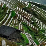 Guilin Reed Flute Cave and Longji Rice Terraces Private Day Tour - What Could Be Better?