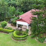 Guwahati Tea Garden tour @ Amchong - Is This Tour Right for You?